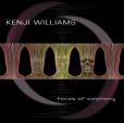Kenji Williams: Faces of Epiphany