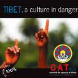 Compilation: Tibet, a culture in danger