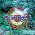 Entheogenic: Flight of the Urubus