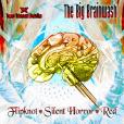 Compilation: The Big Brainwash