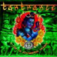 Compilation: Tantrance Vol 13