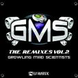 GMS: The Remixes Vol 2