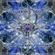 Crossing Mind: The Holographic Paradigm